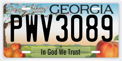GA license plate PWV3089