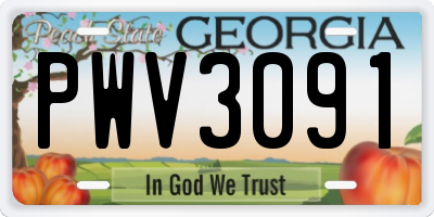 GA license plate PWV3091