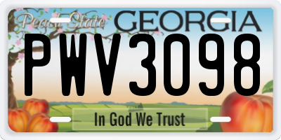 GA license plate PWV3098