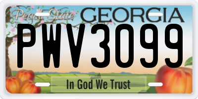 GA license plate PWV3099