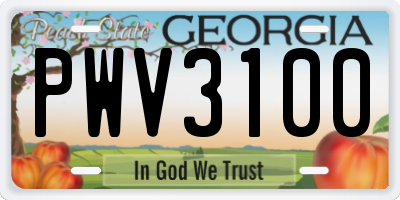 GA license plate PWV3100