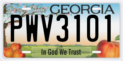 GA license plate PWV3101