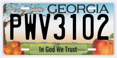 GA license plate PWV3102