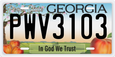 GA license plate PWV3103