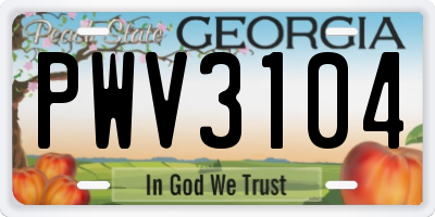 GA license plate PWV3104