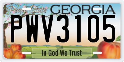 GA license plate PWV3105