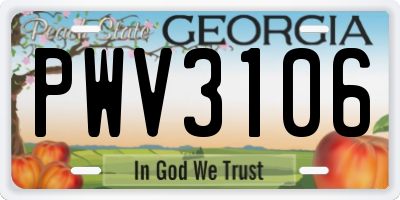 GA license plate PWV3106