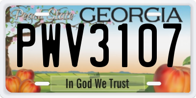 GA license plate PWV3107