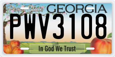 GA license plate PWV3108