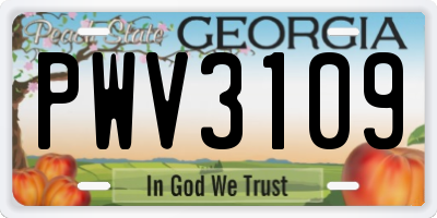 GA license plate PWV3109