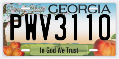 GA license plate PWV3110