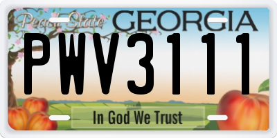 GA license plate PWV3111