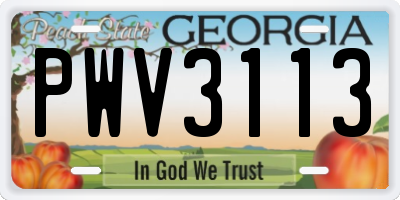 GA license plate PWV3113