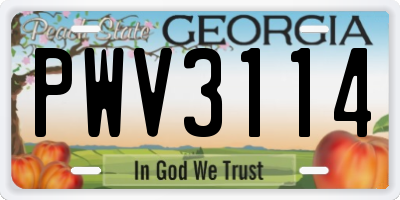 GA license plate PWV3114