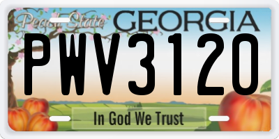 GA license plate PWV3120