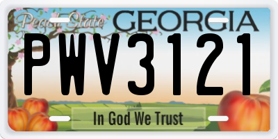 GA license plate PWV3121