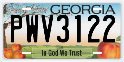 GA license plate PWV3122