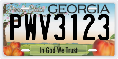 GA license plate PWV3123
