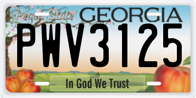 GA license plate PWV3125