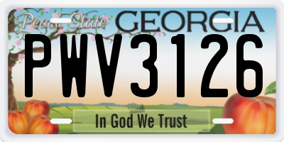 GA license plate PWV3126