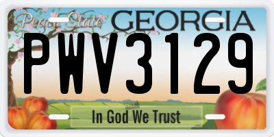 GA license plate PWV3129