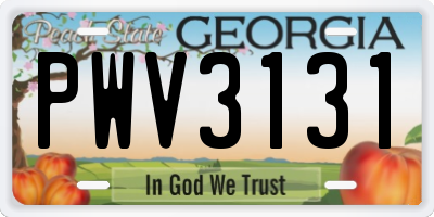 GA license plate PWV3131
