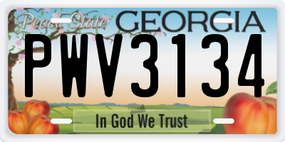 GA license plate PWV3134