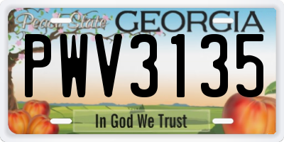 GA license plate PWV3135