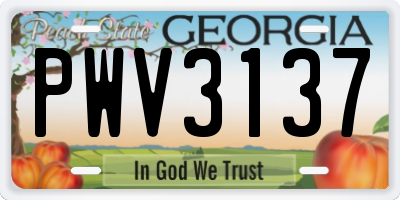 GA license plate PWV3137