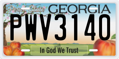 GA license plate PWV3140
