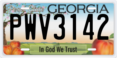 GA license plate PWV3142