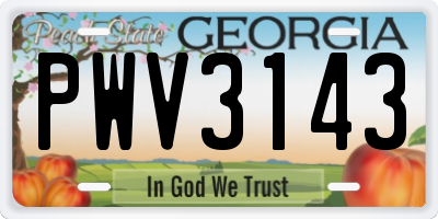 GA license plate PWV3143