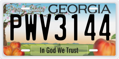 GA license plate PWV3144