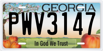 GA license plate PWV3147