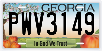 GA license plate PWV3149
