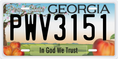 GA license plate PWV3151