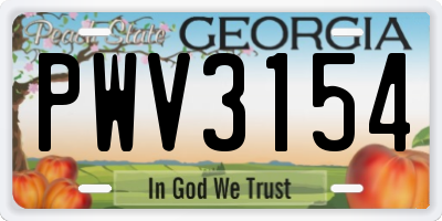 GA license plate PWV3154
