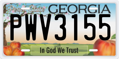 GA license plate PWV3155