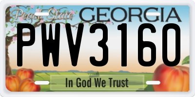GA license plate PWV3160