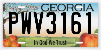 GA license plate PWV3161