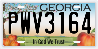 GA license plate PWV3164