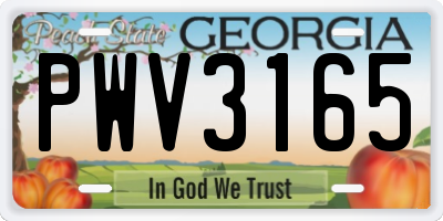 GA license plate PWV3165