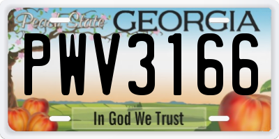 GA license plate PWV3166