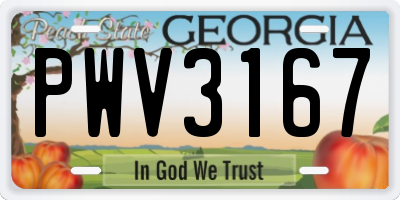 GA license plate PWV3167