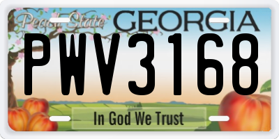 GA license plate PWV3168