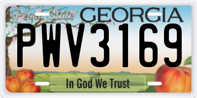 GA license plate PWV3169