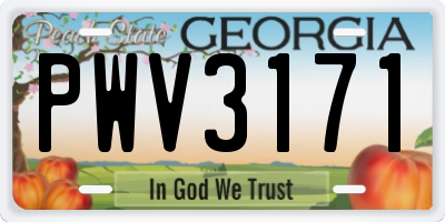 GA license plate PWV3171