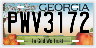 GA license plate PWV3172
