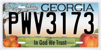 GA license plate PWV3173