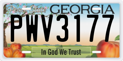 GA license plate PWV3177